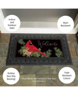 Cardinal and Sassafras Indoor Outdoor Switch Doormat 1'10"x10" Multicolored