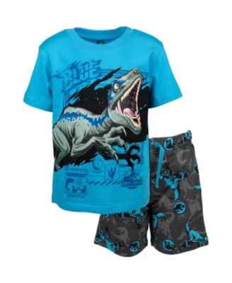 Boys T-Shirt and French Terry Shorts Outfit Set to