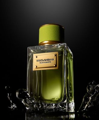 Dolce&Gabbana Velvet Mughetto Eau de Parfum, 3.3 oz. - Macy's