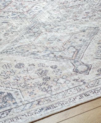 Eleni VVEL-2301 5'3"x7' Area Rug