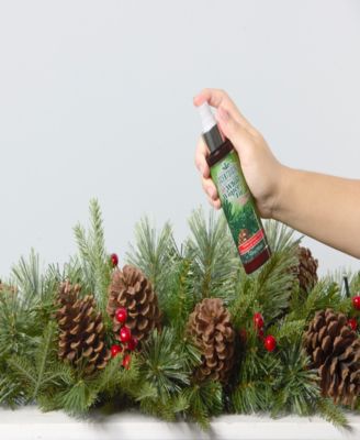 Scentsicles Scented Ornaments, 6 Count Bottles, Stick and Spray White Winter Fir - 2 Pack