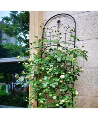 4-Pack Metal Garden Trellis for Climbing Plants – 86.7'' x 19.7'', Rustproof Black Plant Support, Rose Trellis Netting