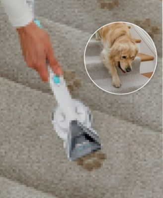 StainStriker Portable Carpet and Upholstery Cleaner - Spot, Stain, and Odor Eliminator - PX201