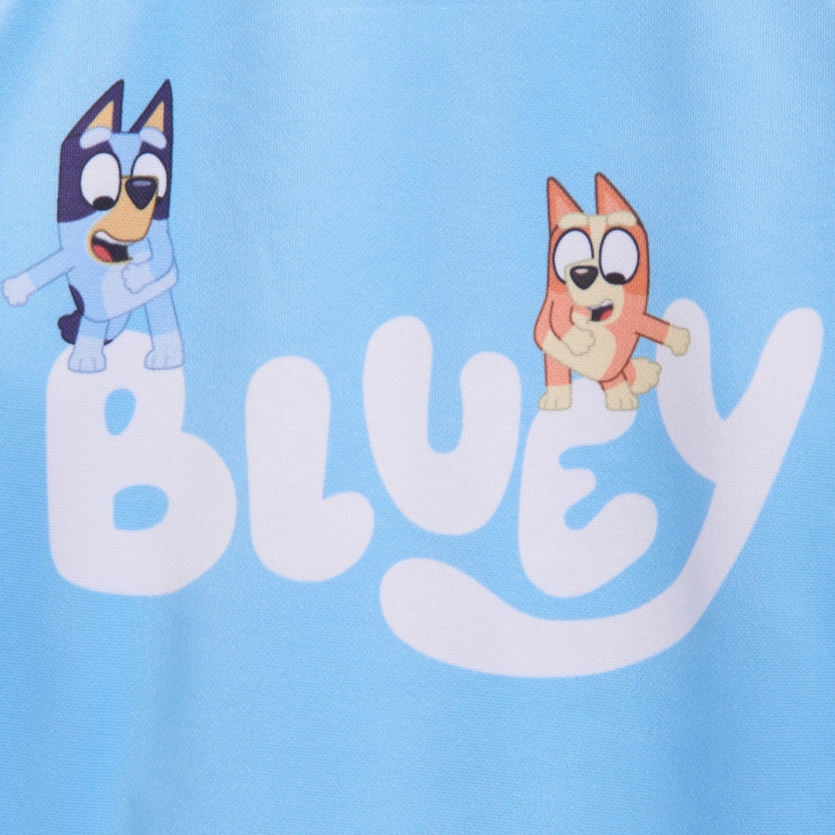 Toddler Boys Fleece Sweatshirt and Cotton Gauze Hat - Bluey