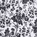 Black Toile