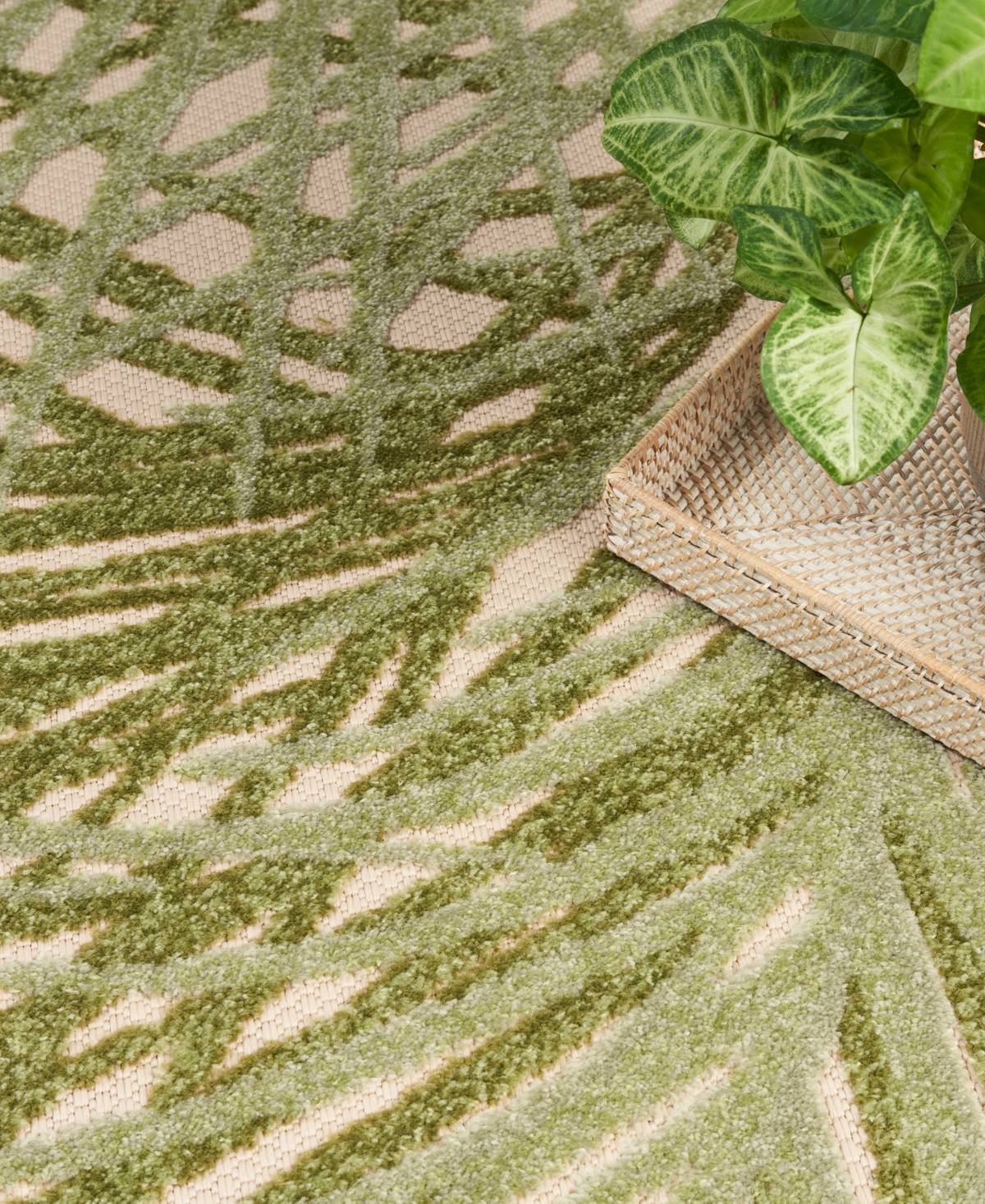 Nourison Home Aloha Alh41 3'6"x5'6" Area Rug In Ivory,moss