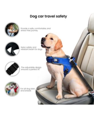 Dog Seat Belt, Car Harness for Dogs, Adjustable Safety Leash Pet Seatbelt,  Durable, Made of Nylon