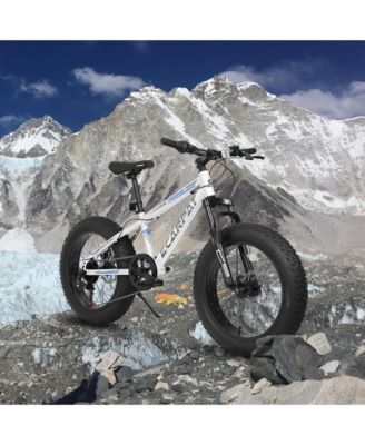 20 inch Fat Tire Bike Adult/Teen Full Shimano 7 Speed Mountain Bike, Dual Disc Brakes, High Carbon Steel Frame, Front Suspension, Mountain Dirt Bike, City Commuter City Bike, Fat Tire Bike