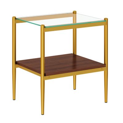 Modern Rectangle Glass End Table Set (2