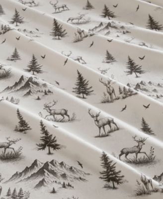 Printed Cotton Flannel 4-Pc. Sheet Set, Full