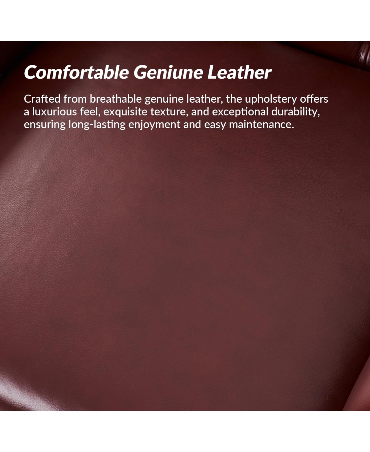 Hulala Home Eugene Traditional Genuine Leather Chair with Tufted Wing Back and Solid Wood