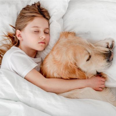 Waterproof Mattress Protector, Queen