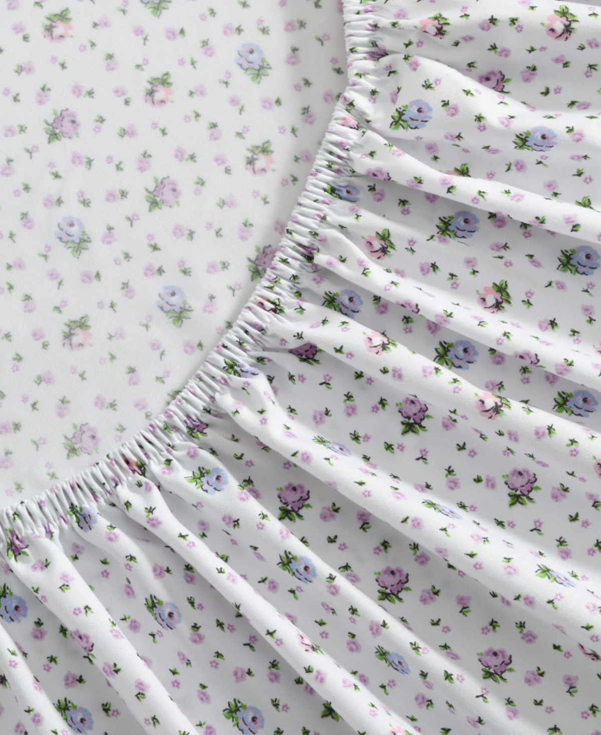Betsey Johnson Printed Microfiber 3 Piece Sheet Set, Twin Xl In Floral Ditsy