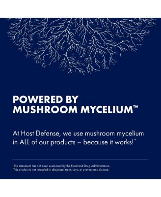 Stamets 7 Extract - 7 Species Blend - Mushroom Supplement for Immune Support with Royal Sun Blazei, Cordyceps, Reishi, Maitake, Lion's Mane, Chaga & Mesim