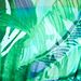 Cartago Palms