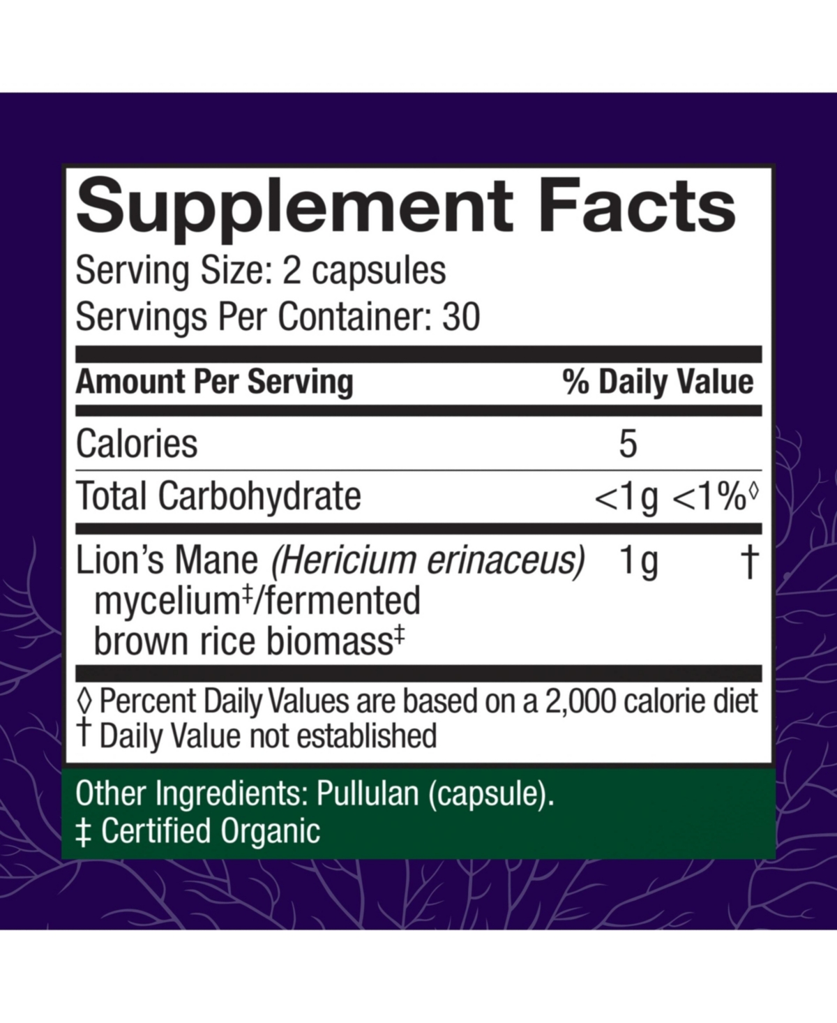 Host Defense Mushrooms Lion's Mane - Brain Health Support Supplement - Mushroom Supplement to Support Focus & Memory Function - Immune & Nervous Syste