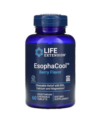 Life Extension