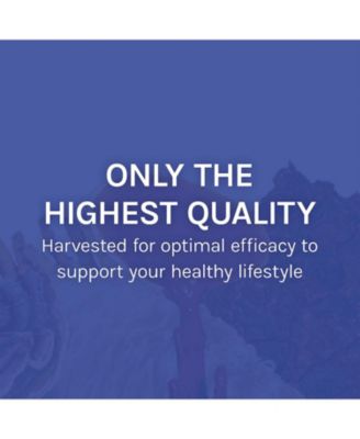 Stamets 7 - 7 Species Blend - Mushroom Supplement for Immune Support - Includes Royal Sun Blazei, Cordyceps, Reishi, Maitake, Lion's Mane, Chaga & Mesima