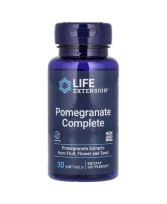 Life Extension