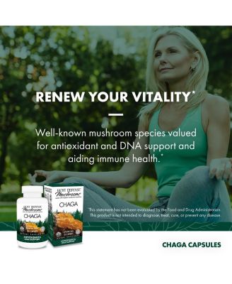 Chaga Capsules - Immune System Support Supplement - Chaga Mushroom Capsules for Antioxidant Activity Support - Dietary Mushroom Supplement