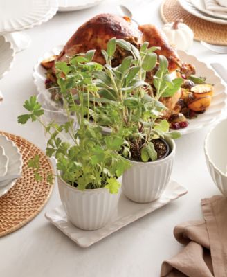 French Perle Scallop Herb Pots Tray Set
