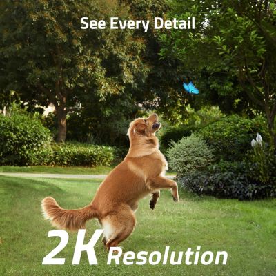 Security SoloCam S230 2K Wireless Solar Camera with Spotlight