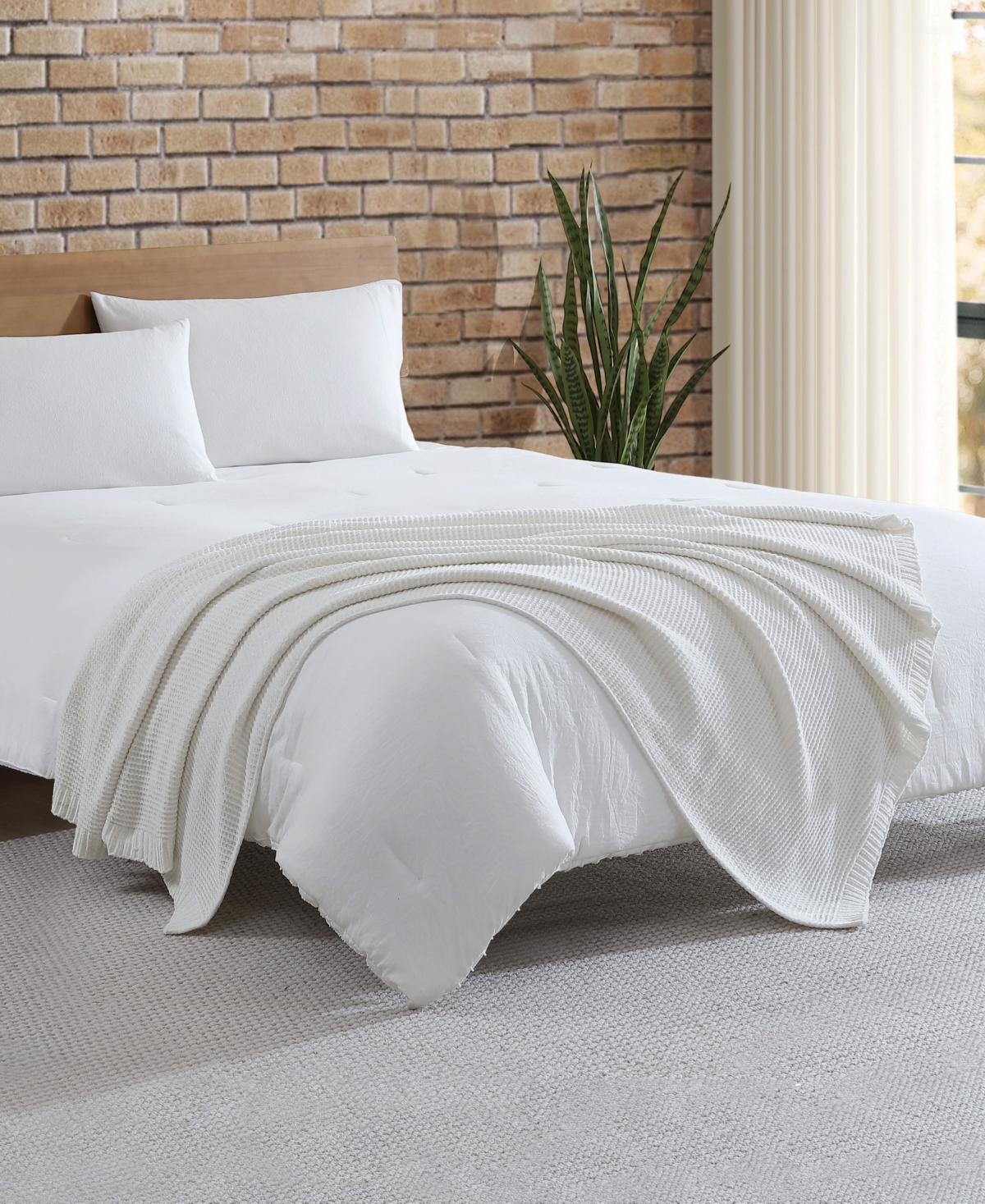 French Connection Eloise Lurex Chenille Throw, 50" X 70" In Ivory