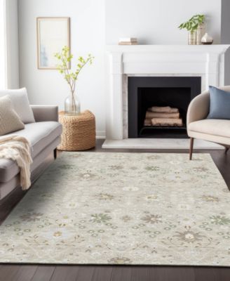 Chantille Machine Washable ACN1009 9'x12' Area Rug