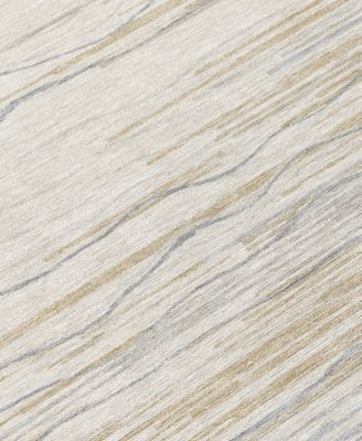 Chantille Machine Washable ACN996 8'x10' Area Rug