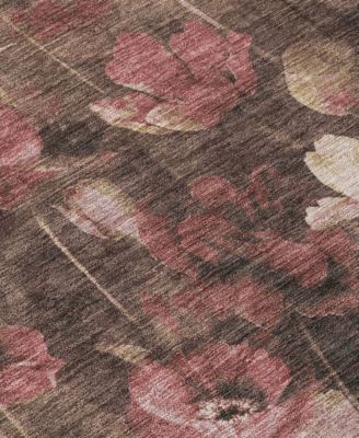 Chantille Machine Washable ACN992 5'x7'6" Area Rug