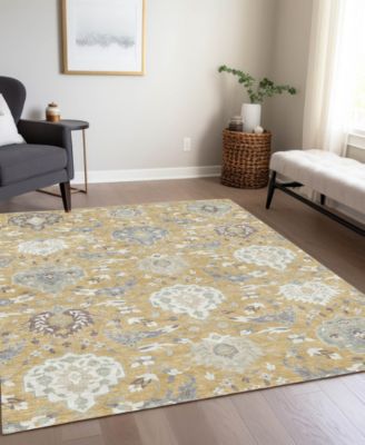 Chantille Machine Washable ACN1026 8'x10' Area Rug