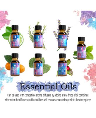 Himalayan Salt Diffuser & 14 Pack Essential Oils Set
