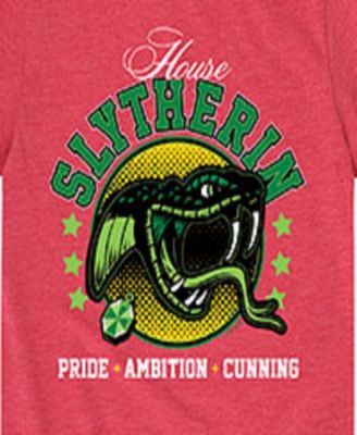 Big Boys Harry Potter Slytherin Graphic Tee