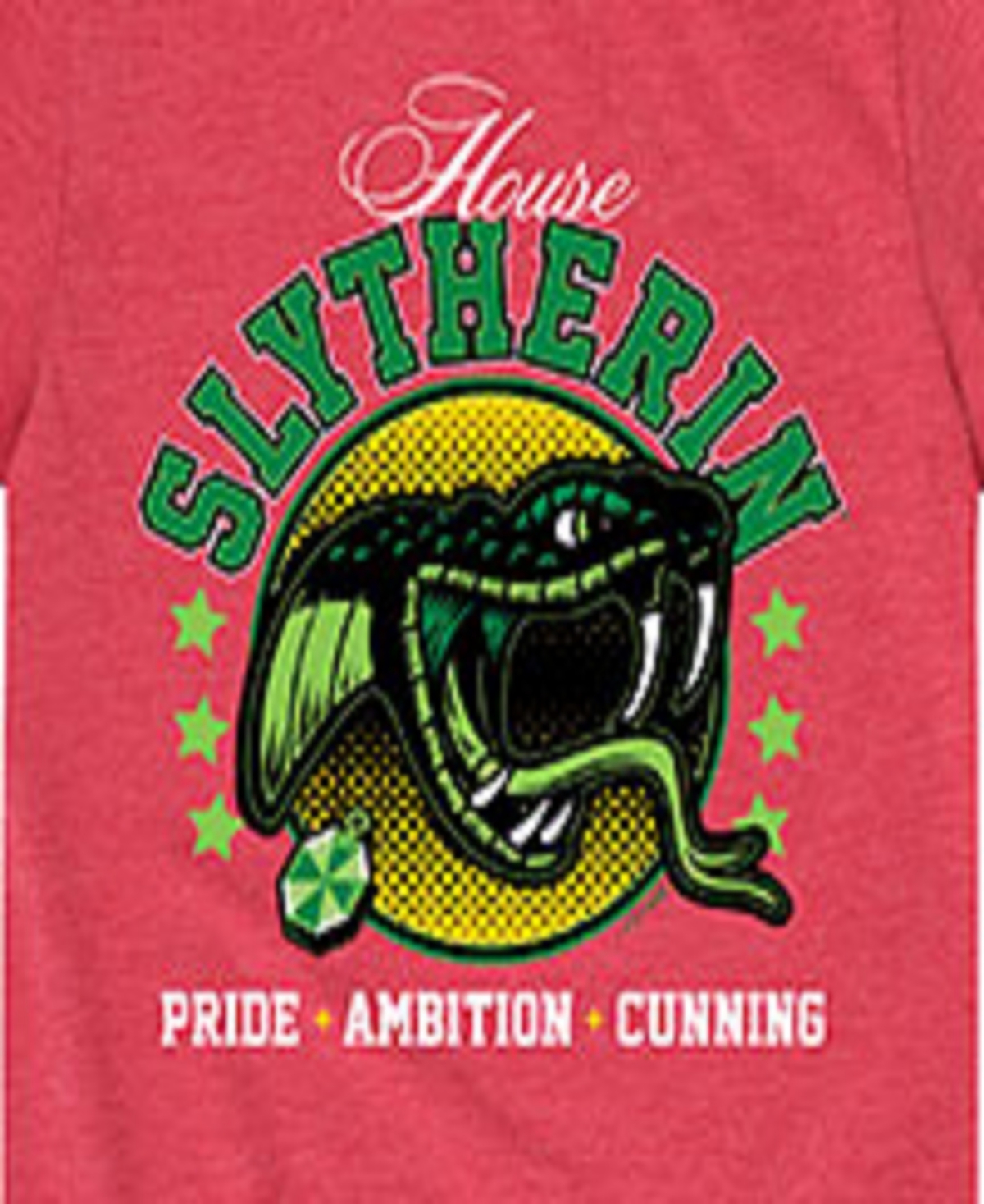 Hybrid Big Boys Harry Potter Slytherin Graphic Tee In Red