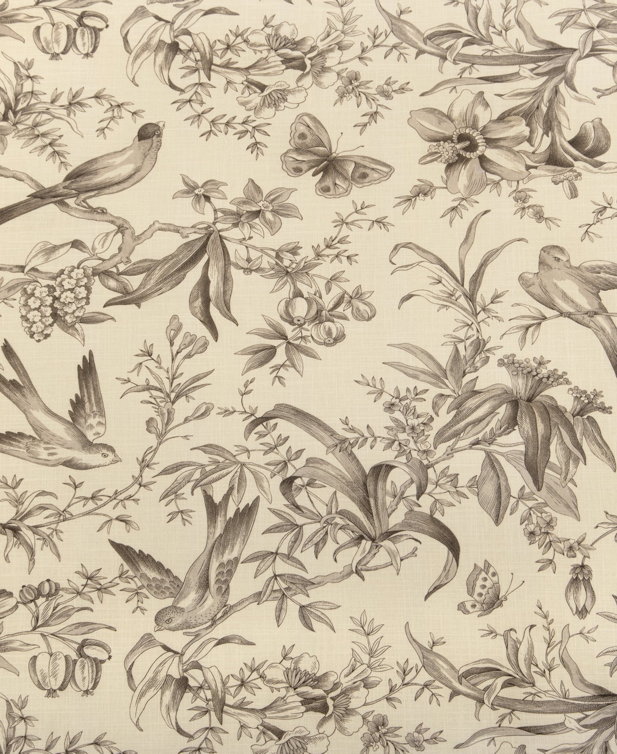 Rose Tree Bird Paradise Decorative Pillow, 18" X 18" In Sepia