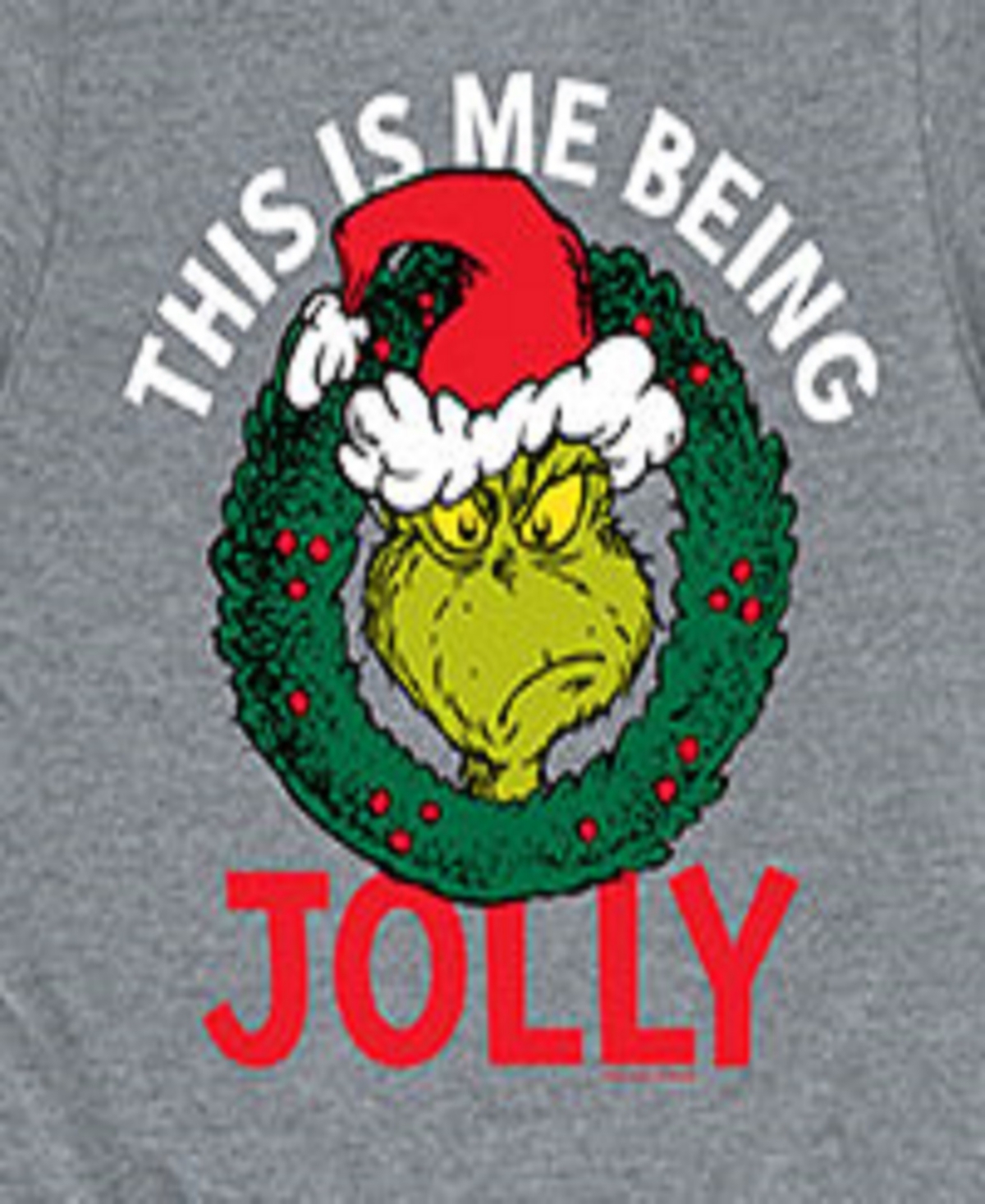 Hybrid Big Boys The Grinch Being Jolly Graphic Tee In Grey