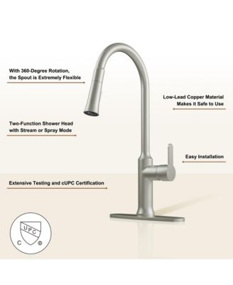 1.8 GPM Single-Handle Pull-Down Kitchen Faucet Single Hole Faucet