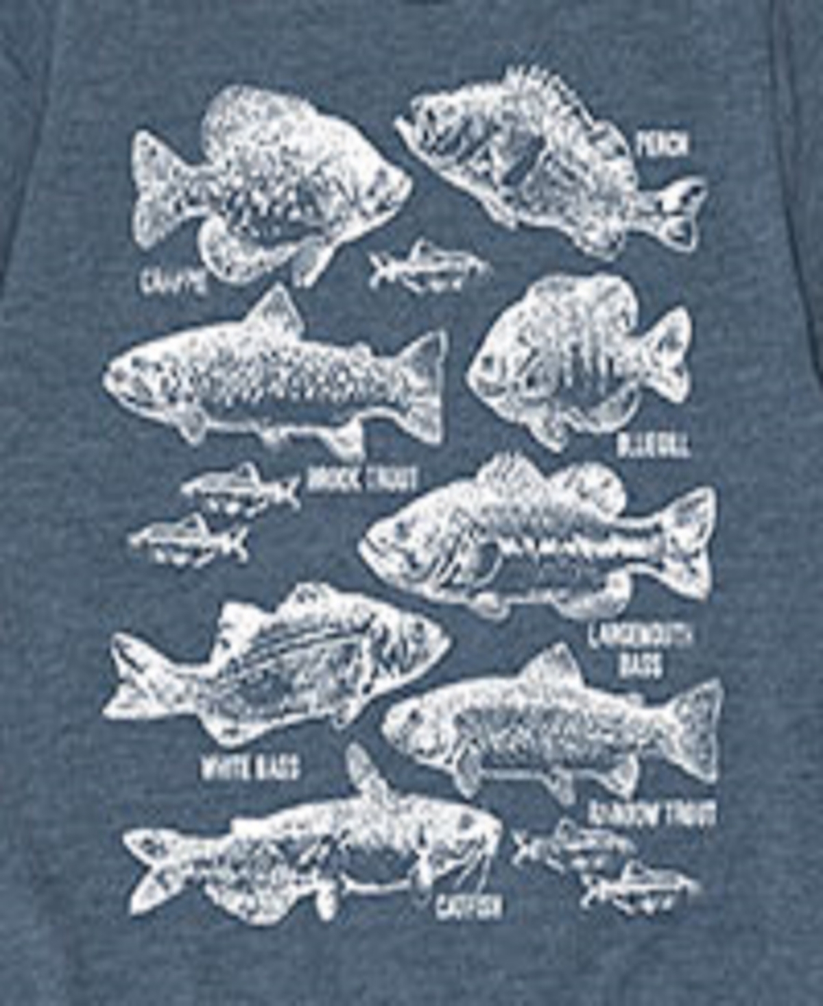 Hybrid Big Boys Types Of Fish Graphic Tee In Blue