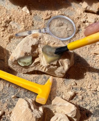 GeoSafari Jr. Fossil Excavation Kit