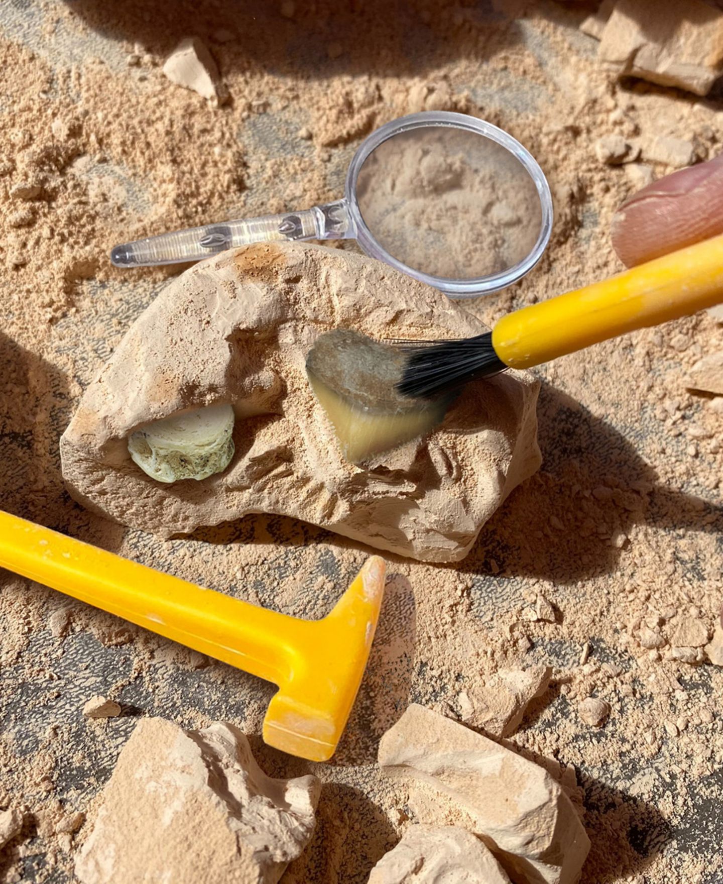 Детские игрушки Educational Insights GeoSafari Jr. Fossil Excavation Kit — фото 5