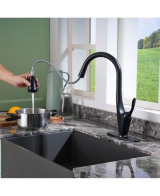 1.8 GPM Pull Down Kitchen Faucet with Deck Plate