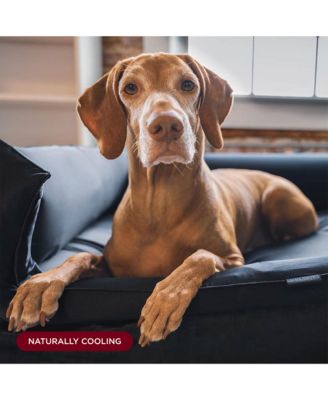 Calming Dog Bed with Mulberry Silk – Soft, Washable & Hypoallergenic