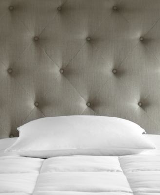 Soft White Goose Down Hypoallergenic Pillow, Standard