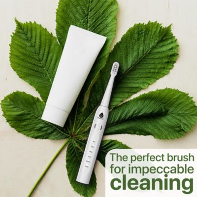 USB Rechargeable Electric Toothbrush with 12 Brush Heads