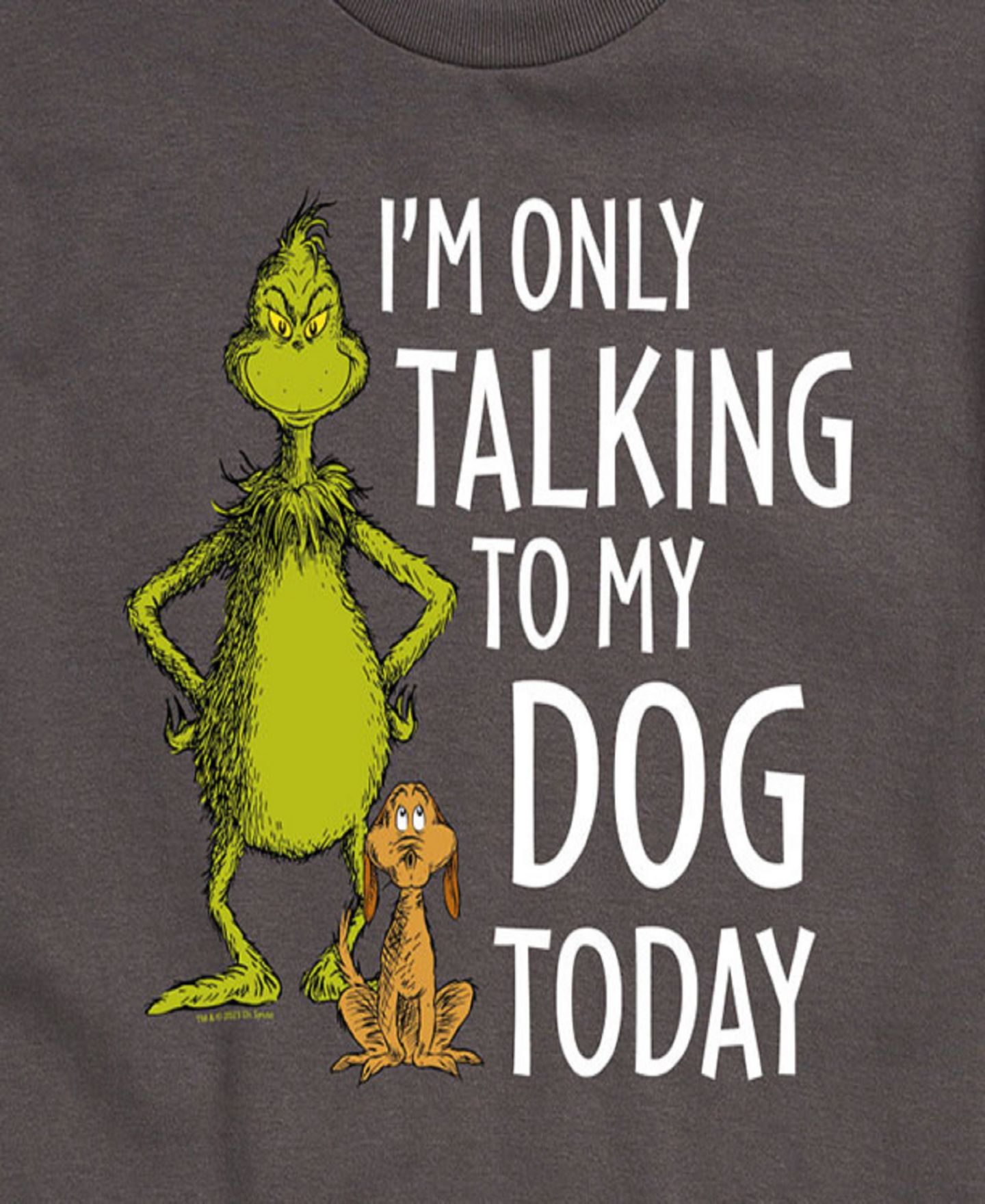 Мужская футболка AIRWAVES The Grinch Only Talking To My Dog Today People Short Sleeve, цвет: Серый — фото 3