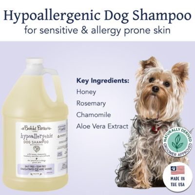 (Botanical) HYPO-ALLERGENIC Shampoo Honey Extract, Chamomile, Rosemary and Aloe Vera Extract