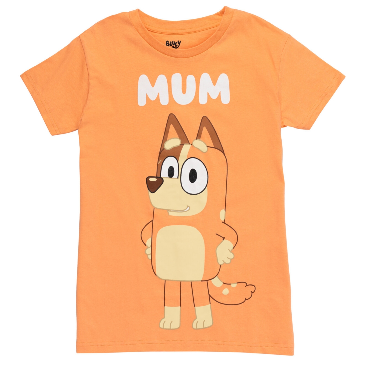 Bluey Girls Adult Matching Family T-Shirt (X-Small - 2XL) - orange
