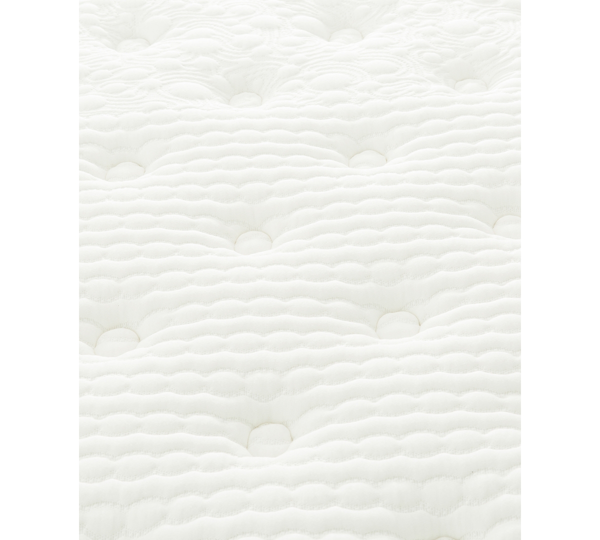 Primo International Majesty 12" Plush Mattress In A Box In No Color