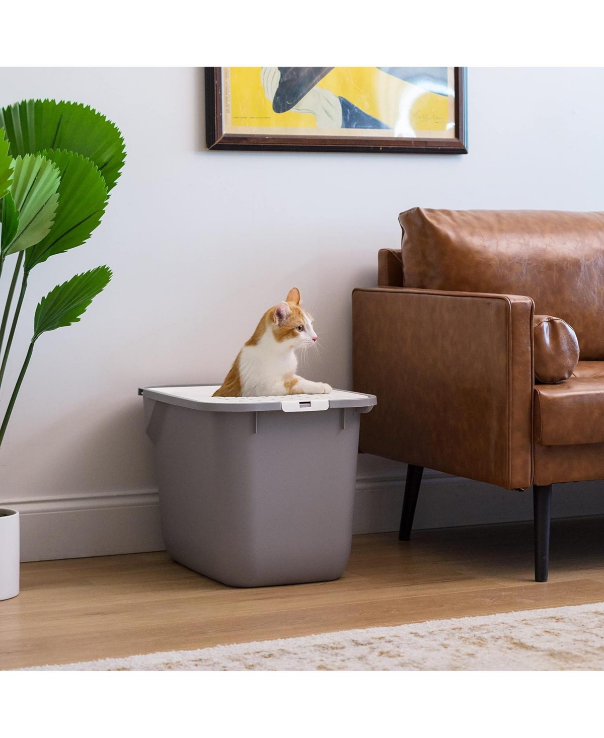 Iris Square Top Entry Cat Litter Box Without Scoop, Gray/White