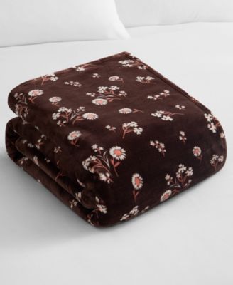 Daisy Floral Cozy Plush Throw, 50" x 70"